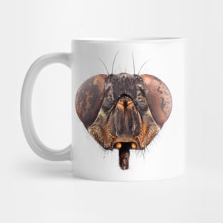 Fly head under the microscope Mug